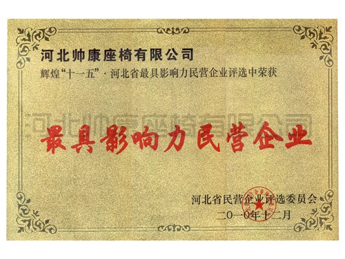 河北省最具影响力民营企业